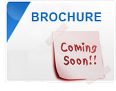 Digital Brochure